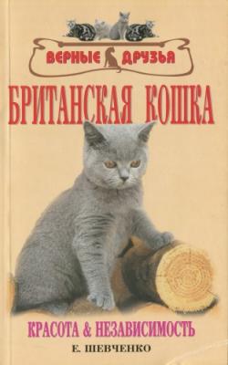 Британская кошка